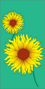 Flags & Banners